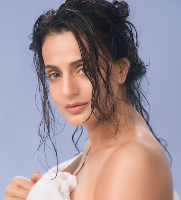 Ameesha Patel Movies